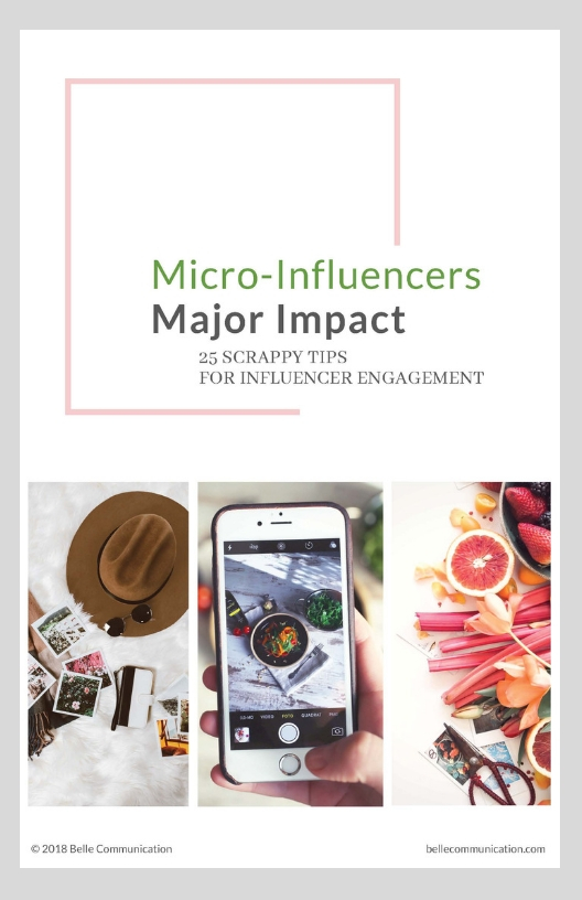 Micro-Influencers Final Web