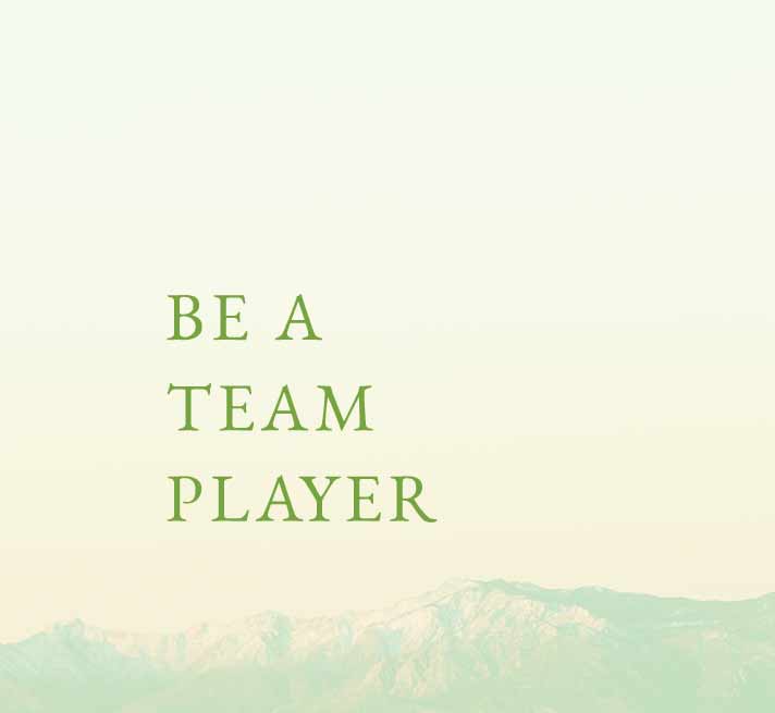 team-core-teamplayer